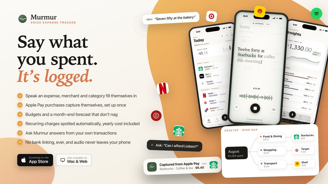 Murmur, voice expense tracker